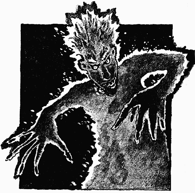 Иллюстрация к книге — Охотники за привидениями в большой опасности [i_018.jpg]