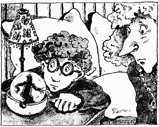 Иллюстрация к книге — Охотники за привидениями в большой опасности [i_023.jpg]