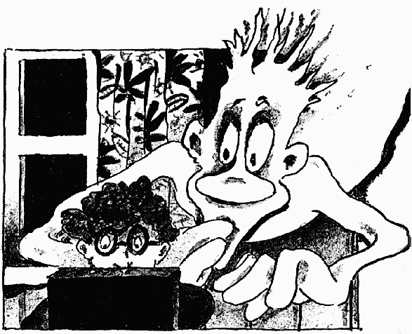 Иллюстрация к книге — Охотники за привидениями в большой опасности [i_026.jpg]