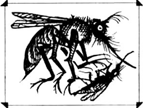 Иллюстрация к книге — Рыцари Короны [i_007.jpg]