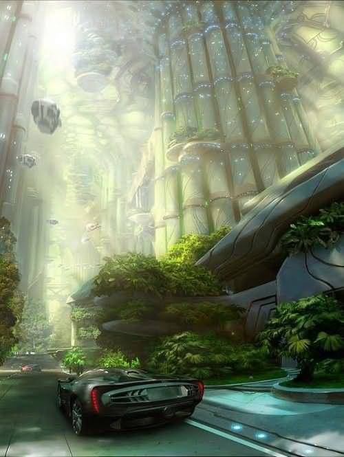 Иллюстрация к книге — Целистик. Книга 1 [i_102.jpg]