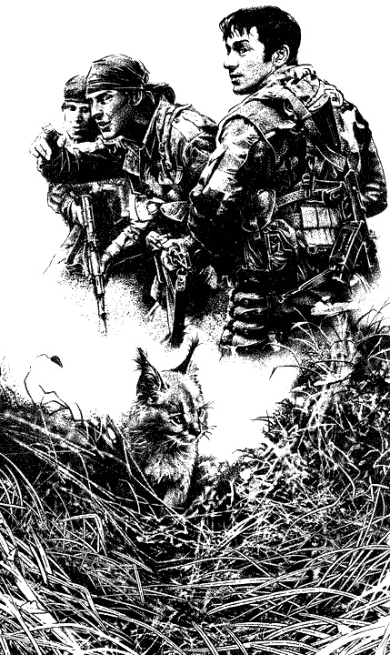 Иллюстрация к книге — Лишнее золото. Без права на выбор [i_001.jpg]