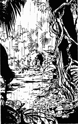 Иллюстрация к книге — Колониальная служба [i_004.jpg]