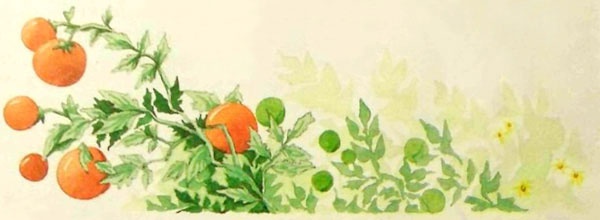 Иллюстрация к книге — Дочь Гингемы [i_024.jpg]