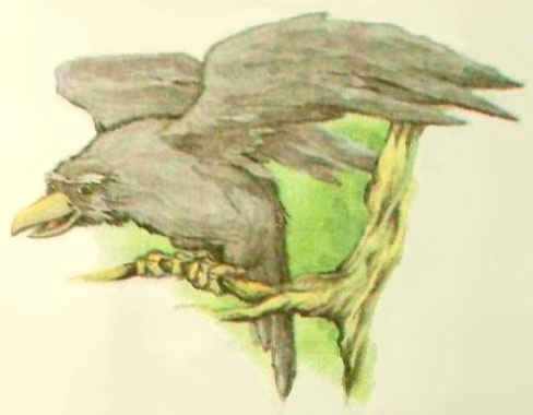 Иллюстрация к книге — Дочь Гингемы [i_039.jpg]