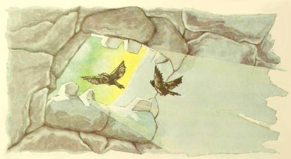 Иллюстрация к книге — Дочь Гингемы [i_050.jpg]