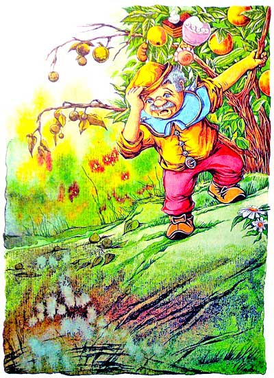 Иллюстрация к книге — Вечно молодая Стелла [i_011.jpg]