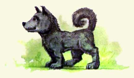 Иллюстрация к книге — Король Людушка [i_028.jpg]