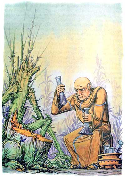 Иллюстрация к книге — Король Людушка [i_039.jpg]