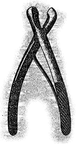 Иллюстрация к книге — Ученик монстролога. Проклятье вендиго [i_001.jpg]