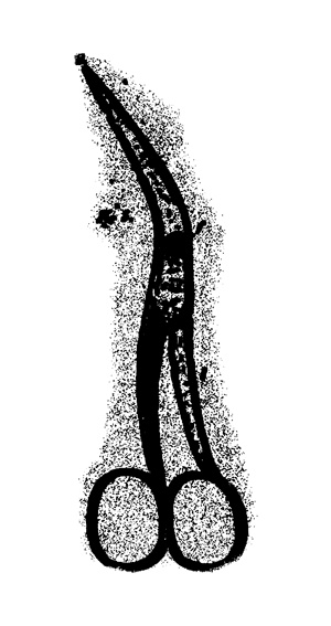 Иллюстрация к книге — Ученик монстролога. Проклятье вендиго [i_002.jpg]