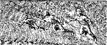 Иллюстрация к книге — Экспедиция в иномир [i_003.jpg]