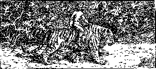 Иллюстрация к книге — Экспедиция в иномир [i_009.jpg]