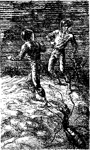 Иллюстрация к книге — Экспедиция в иномир [i_011.jpg]