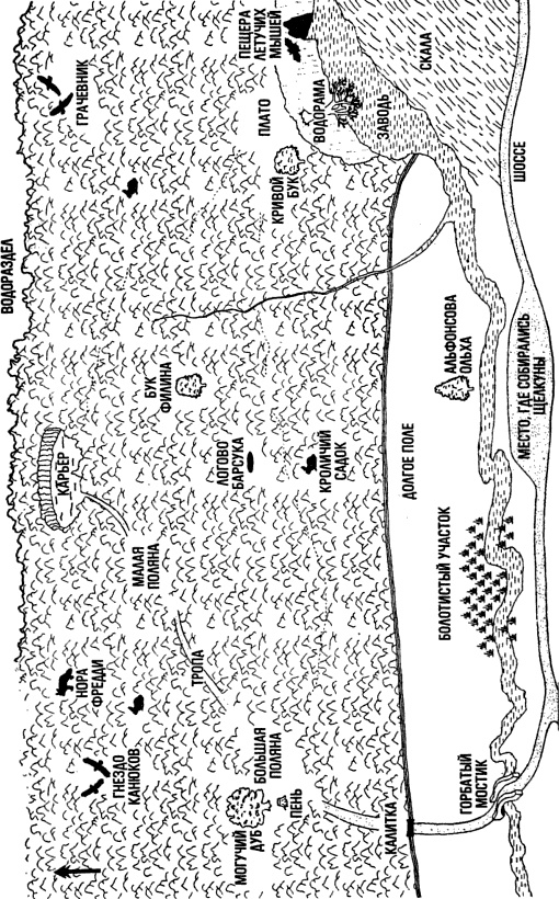 Иллюстрация к книге — Норки! [map_crpd.jpg]