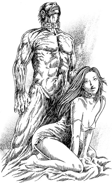 Иллюстрация к книге — Заклятие короля [_001.jpg]