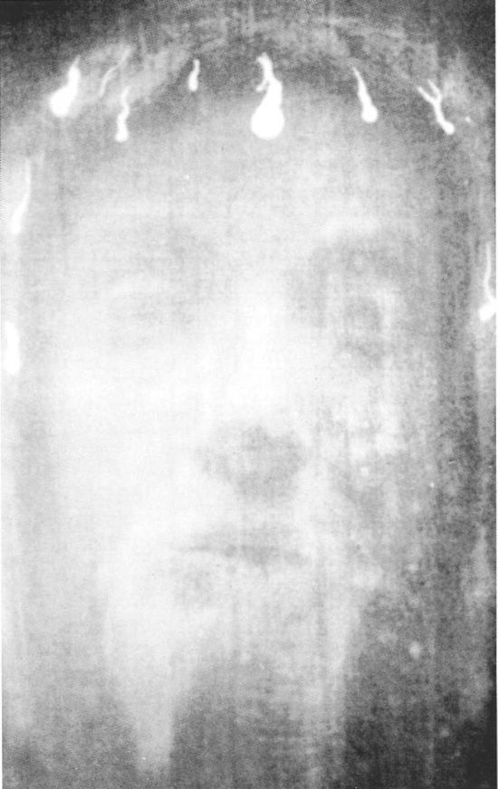 Иллюстрация к книге — Туринская плащаница [_017.jpg]