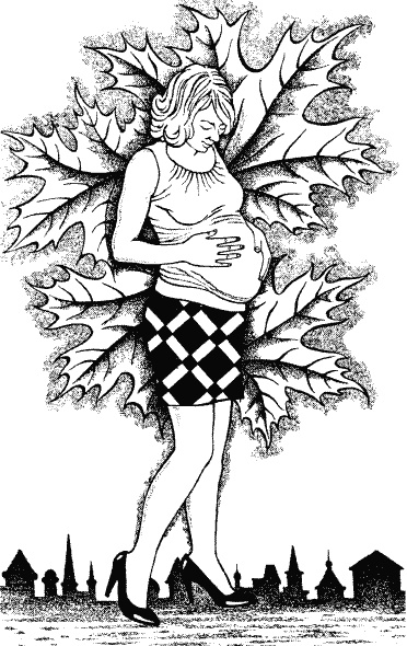 Иллюстрация к книге — Плащаница из Овьедо [i_009.jpg]