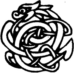 Иллюстрация к книге — Черный огонь. Славяне против варягов и черных волхвов [i_001.jpg]