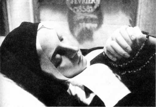 Иллюстрация к книге — Книга вампиров [i_041.jpg]