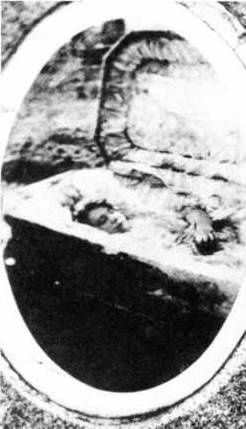 Иллюстрация к книге — Книга вампиров [i_045.jpg]