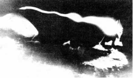 Иллюстрация к книге — Книга вампиров [i_099.jpg]