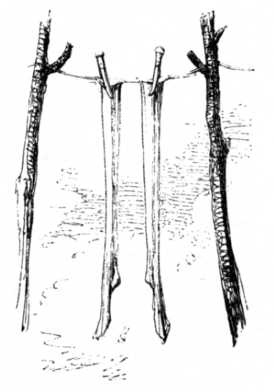 Иллюстрация к книге — Книга вампиров [i_107.jpg]