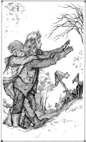 Иллюстрация к книге — Пожиратель мух [pic_4.jpg]