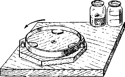 Иллюстрация к книге — Астроном [i_003.jpg]