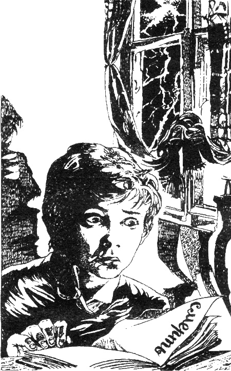 Иллюстрация к книге — Дневник кошмарных пророчеств [sc04.jpg]