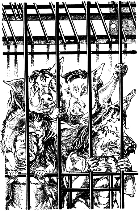 Иллюстрация к книге — Тропой лесных чудовищ [sc07.jpg]