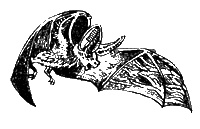 Иллюстрация к книге — Тропой лесных чудовищ [sc08.jpg]