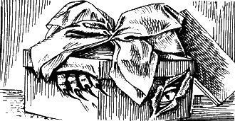 Иллюстрация к книге — В стране монстров [sc2.jpg]