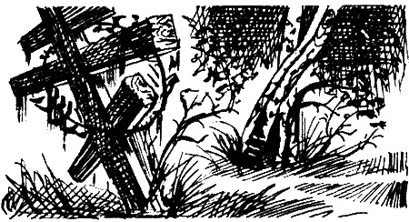 Иллюстрация к книге — Клад под могильной плитой [sc02.jpg]