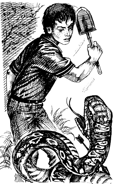 Иллюстрация к книге — Клад под могильной плитой [sc07.jpg]