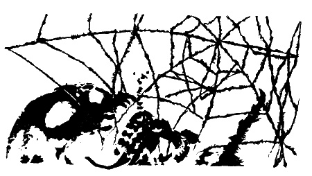 Иллюстрация к книге — Тринадцатый час ночи [sc02.jpg]