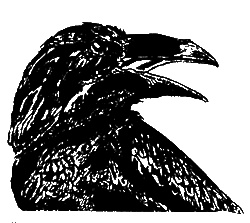 Иллюстрация к книге — Тринадцатый час ночи [sc08.jpg]