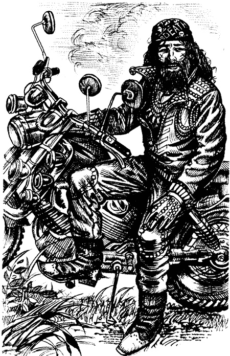 Иллюстрация к книге — Хозяин гнилого болота [sc05.jpg]