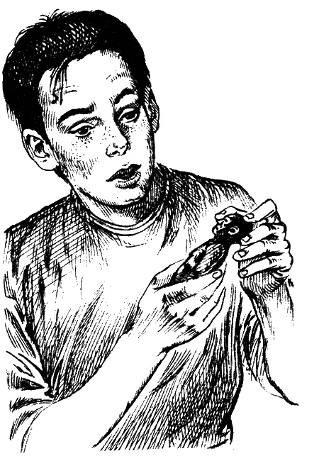 Иллюстрация к книге — Чудище поганое [sc03.jpg]