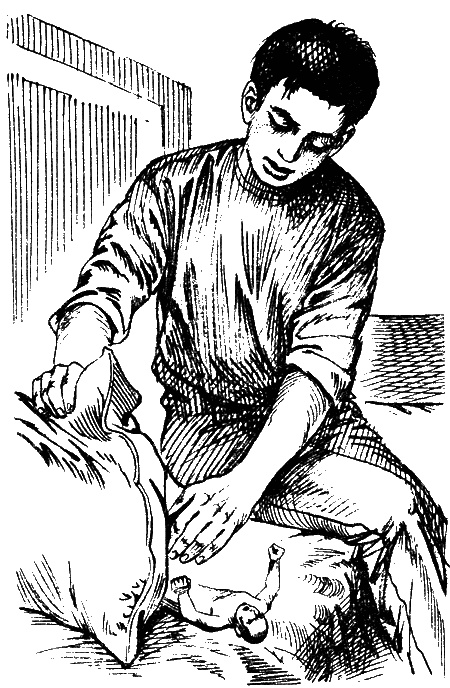 Иллюстрация к книге — Чудище поганое [sc04.jpg]