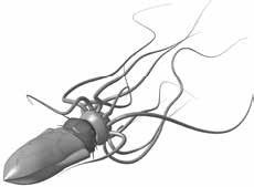 Иллюстрация к книге — Бот [_06.jpg]