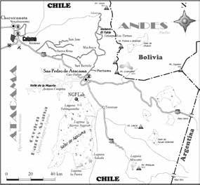 Иллюстрация к книге — Бот [_10.jpg]