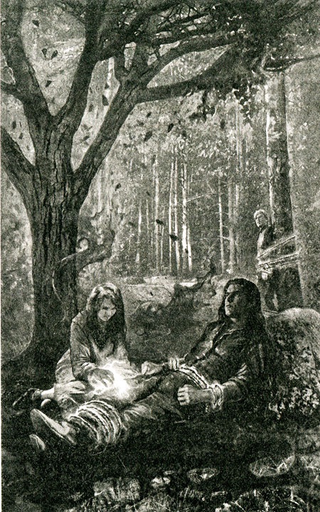 Иллюстрация к книге — Береника [i_001.jpg]