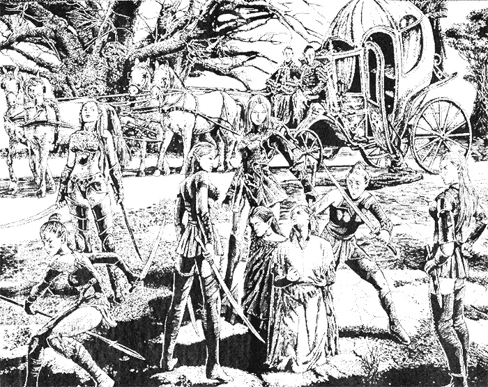 Иллюстрация к книге — Серая эльфийка. Пророчество [i_001.jpg]