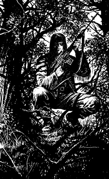 Иллюстрация к книге — Нелюди Великой реки. Полуэльф [i_001.jpg]