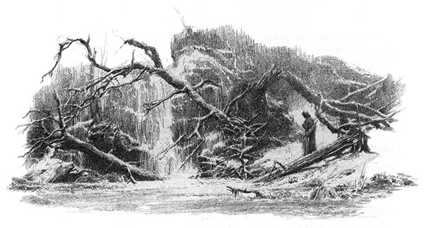 Иллюстрация к книге — Дети Хурина [alan_lee_thechildrenofhurin_bw_16_lite.jpg]