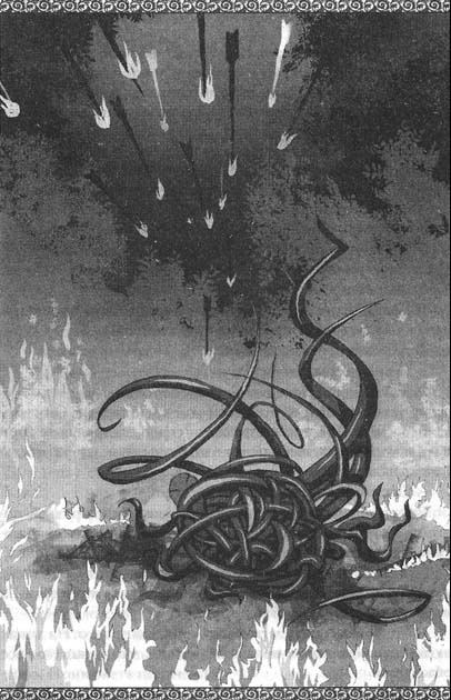 Иллюстрация к книге — Камелот. Осколки легенд [i_012.jpg]