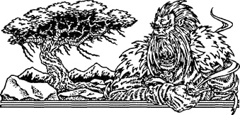 Иллюстрация к книге — Пойнтер в гору не пойдет [i_004.jpg]