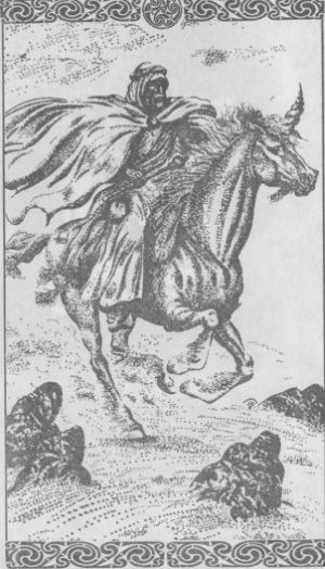 Иллюстрация к книге — Король пепла [cover_g21.jpg]