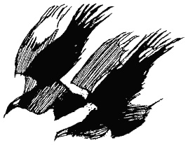 Иллюстрация к книге — Книга трех [i_14.jpg]